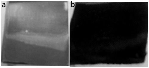 Preparation method of lithium-sulfur battery based on large-area thick film controllable texture photonic crystal