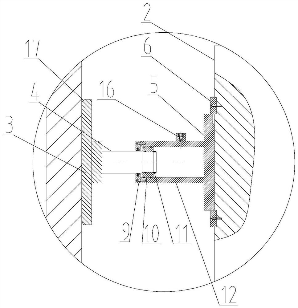 Elastic centralizer