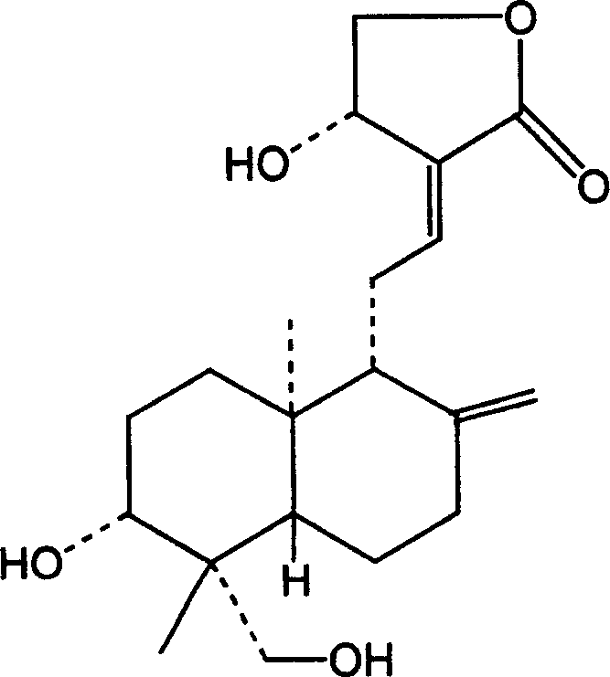 Andrographolide soft capsule formulation and preparation method