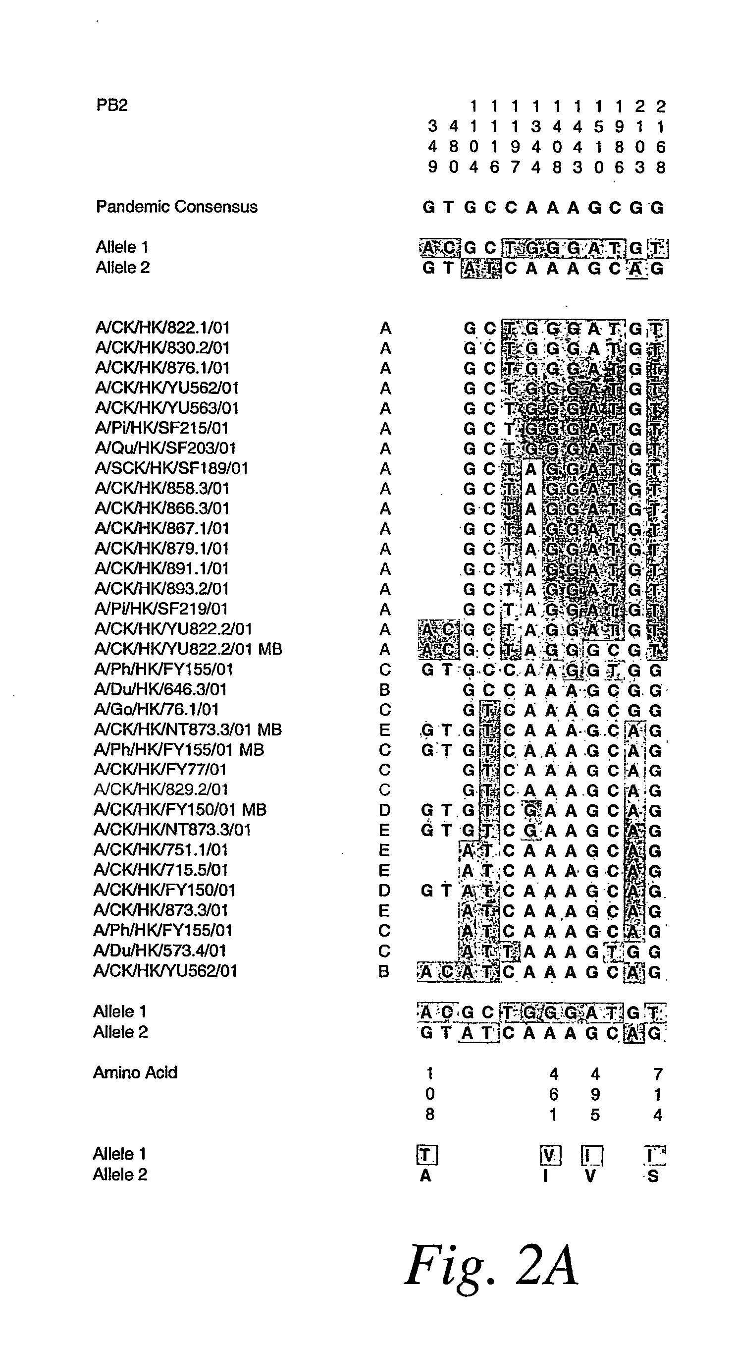 Copy choice recombination and uses thereof