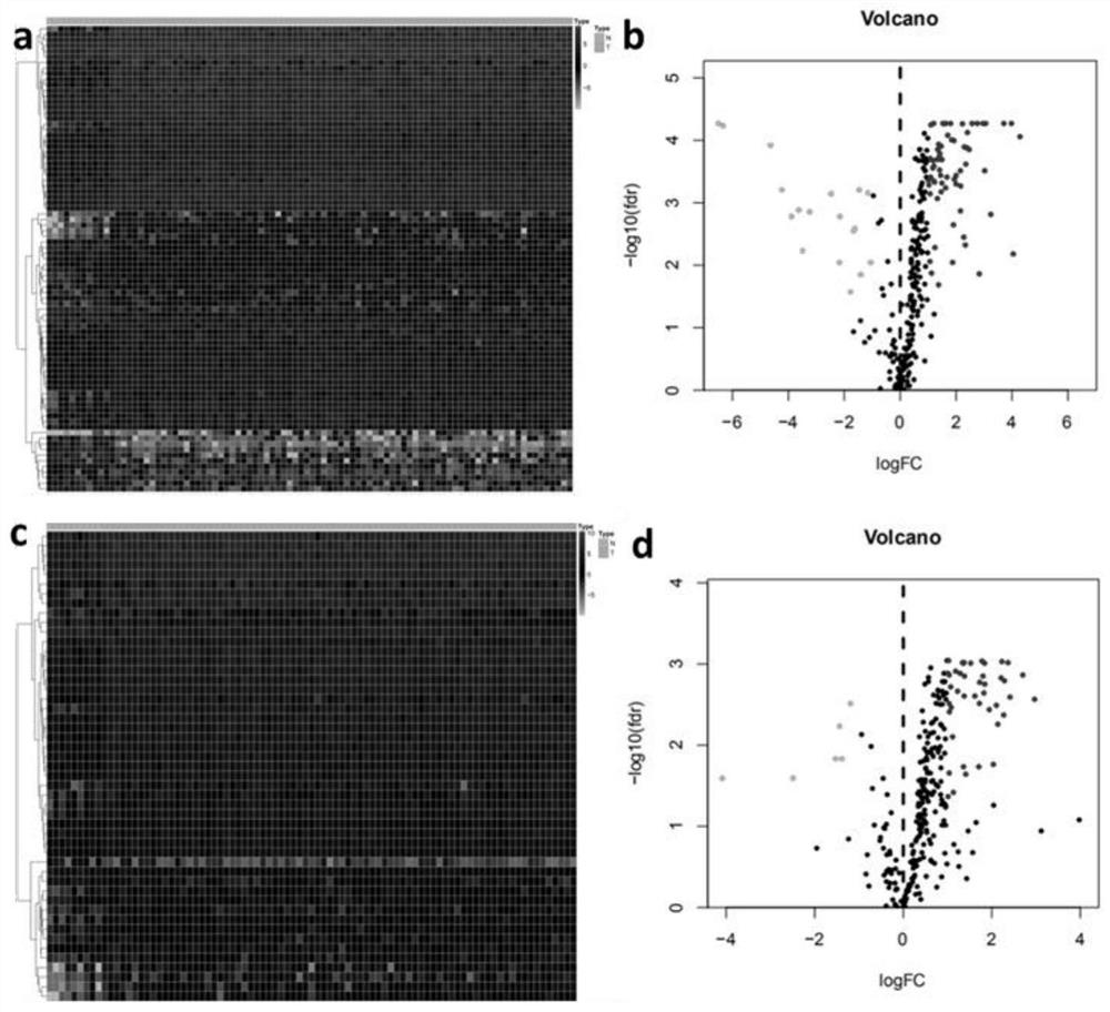 Application of group of immune-related molecular markers identified based on TCGA database in prognosis prediction of esophageal cancer