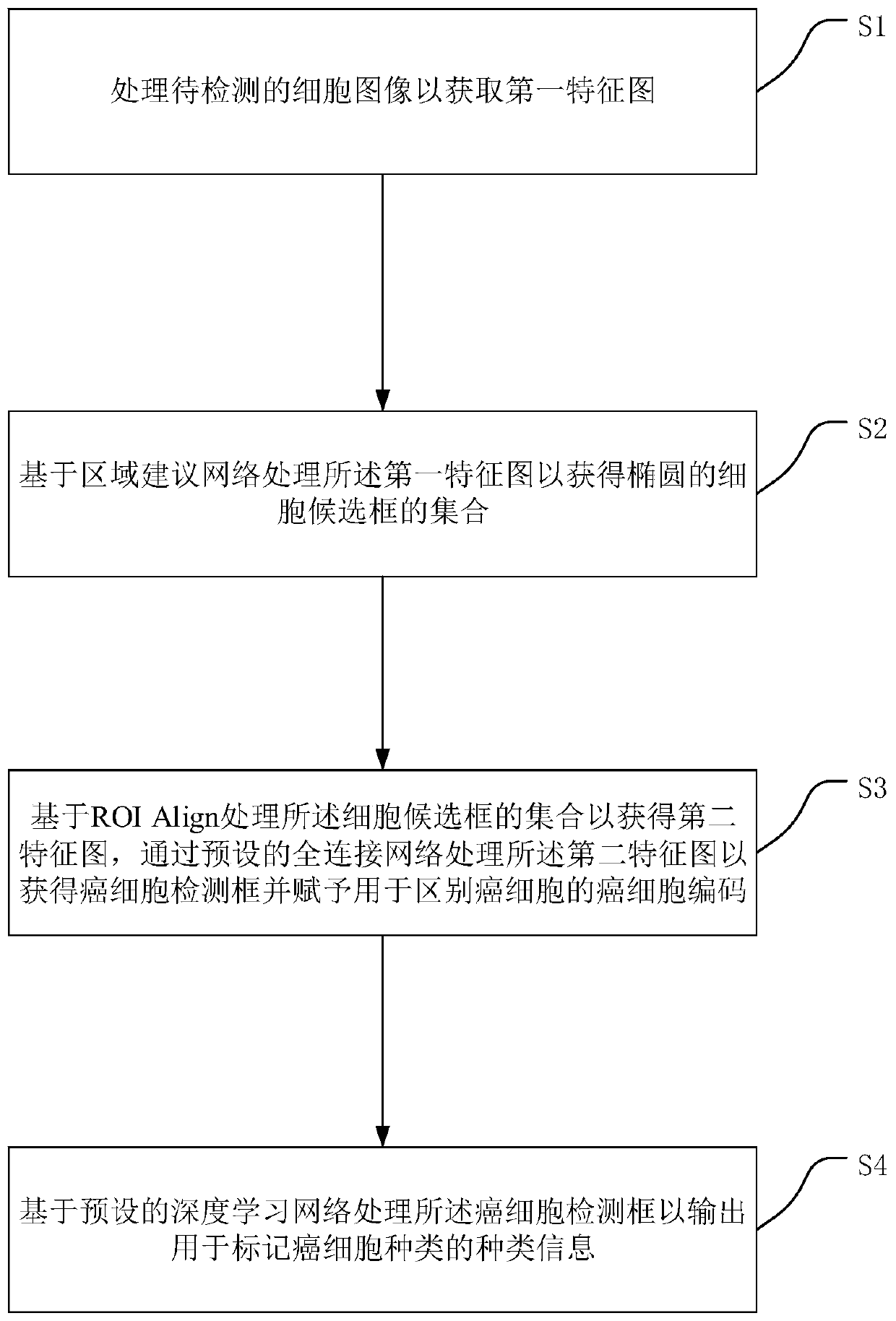 Cancer cell recognition method, device and system