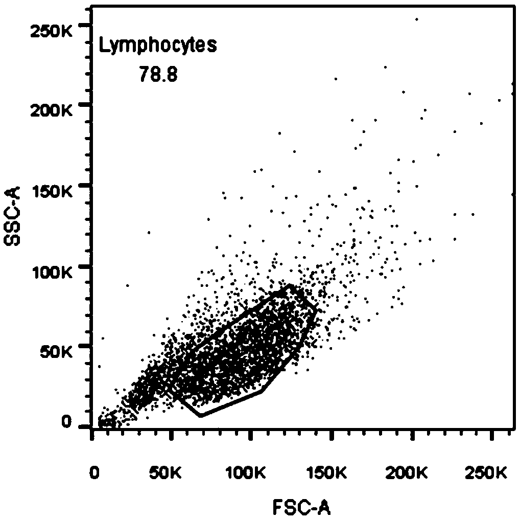 Culturing cryopreservation system, method and kit for amplifying dental pulp stem cells in vitro