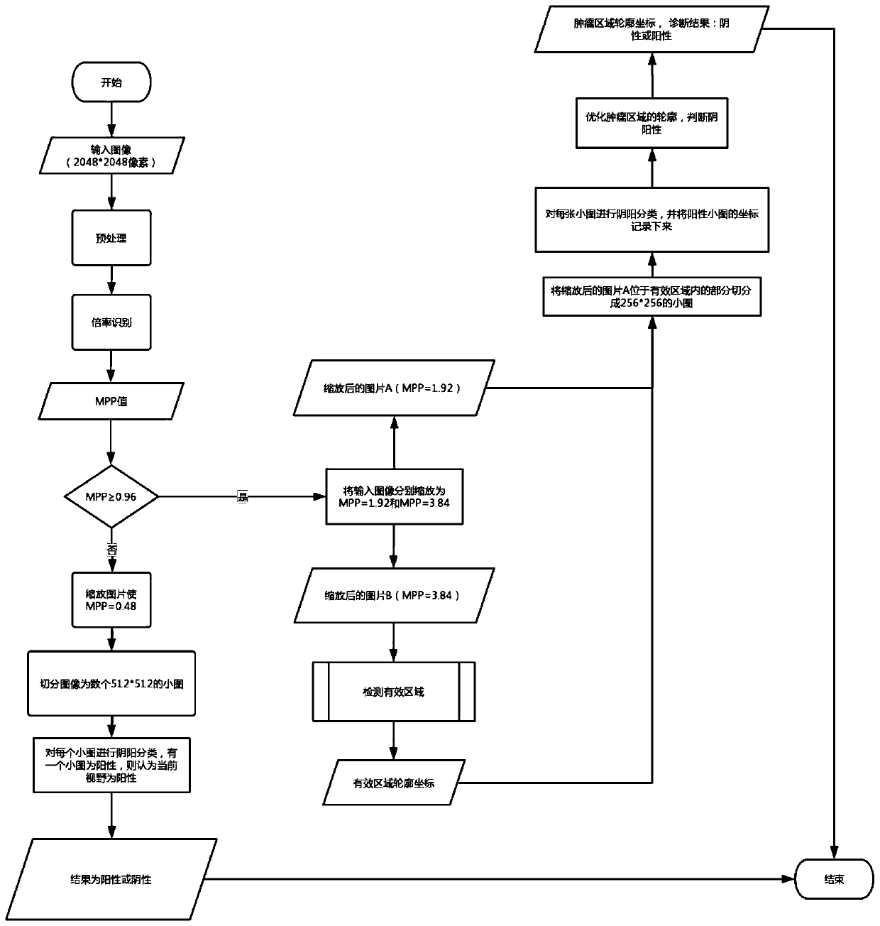 Thyroid frozen section diagnosis method and system