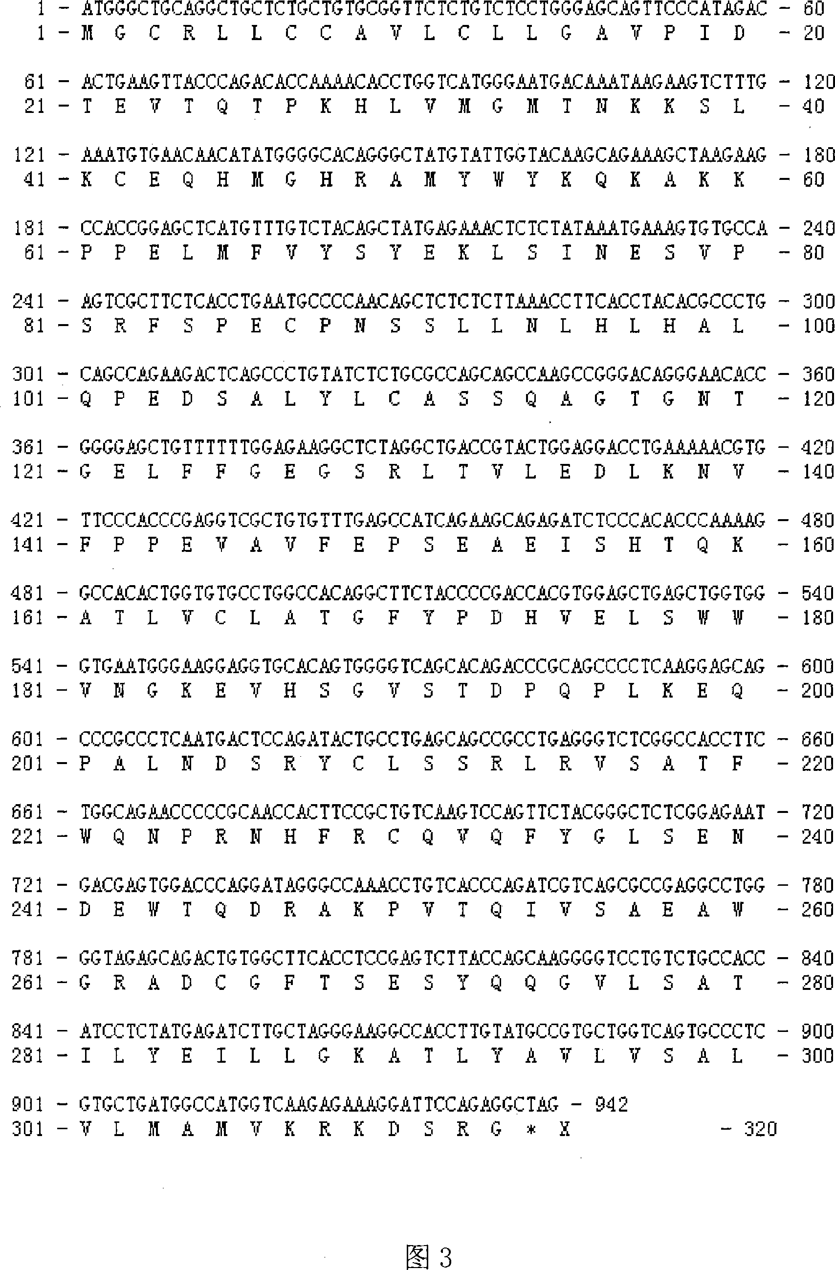 Human TCRVbeta7.1_H3F7 gene and its screening method and application