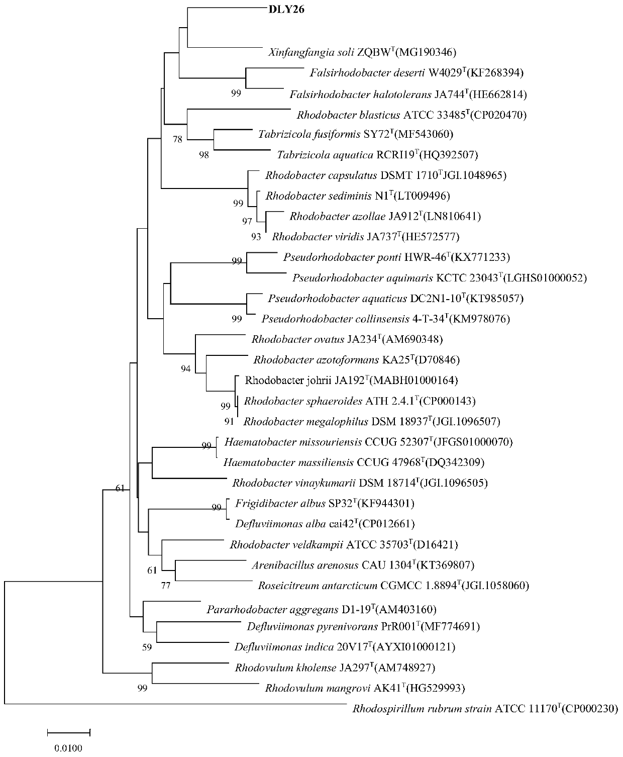 Nitrilase XiNit2 and its coding gene and application thereof