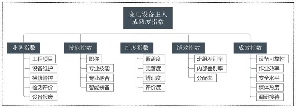 Power transformation equipment owner evaluation method based on maturity index