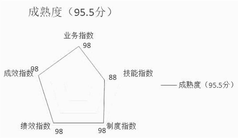 Power transformation equipment owner evaluation method based on maturity index