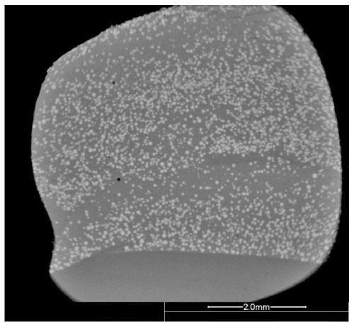 Laser cladding coating for improving water erosion resistance of brazed stellite and preparation method