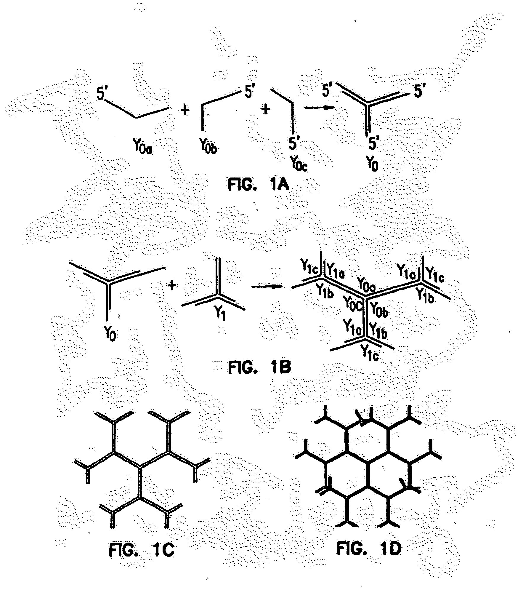 Dendrimer-like modular delivery vector