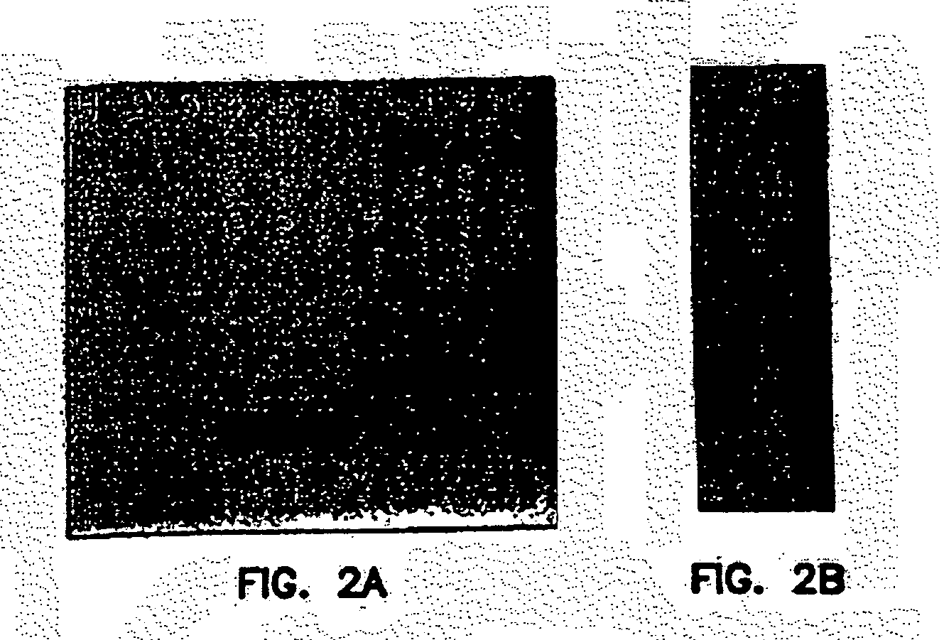 Dendrimer-like modular delivery vector