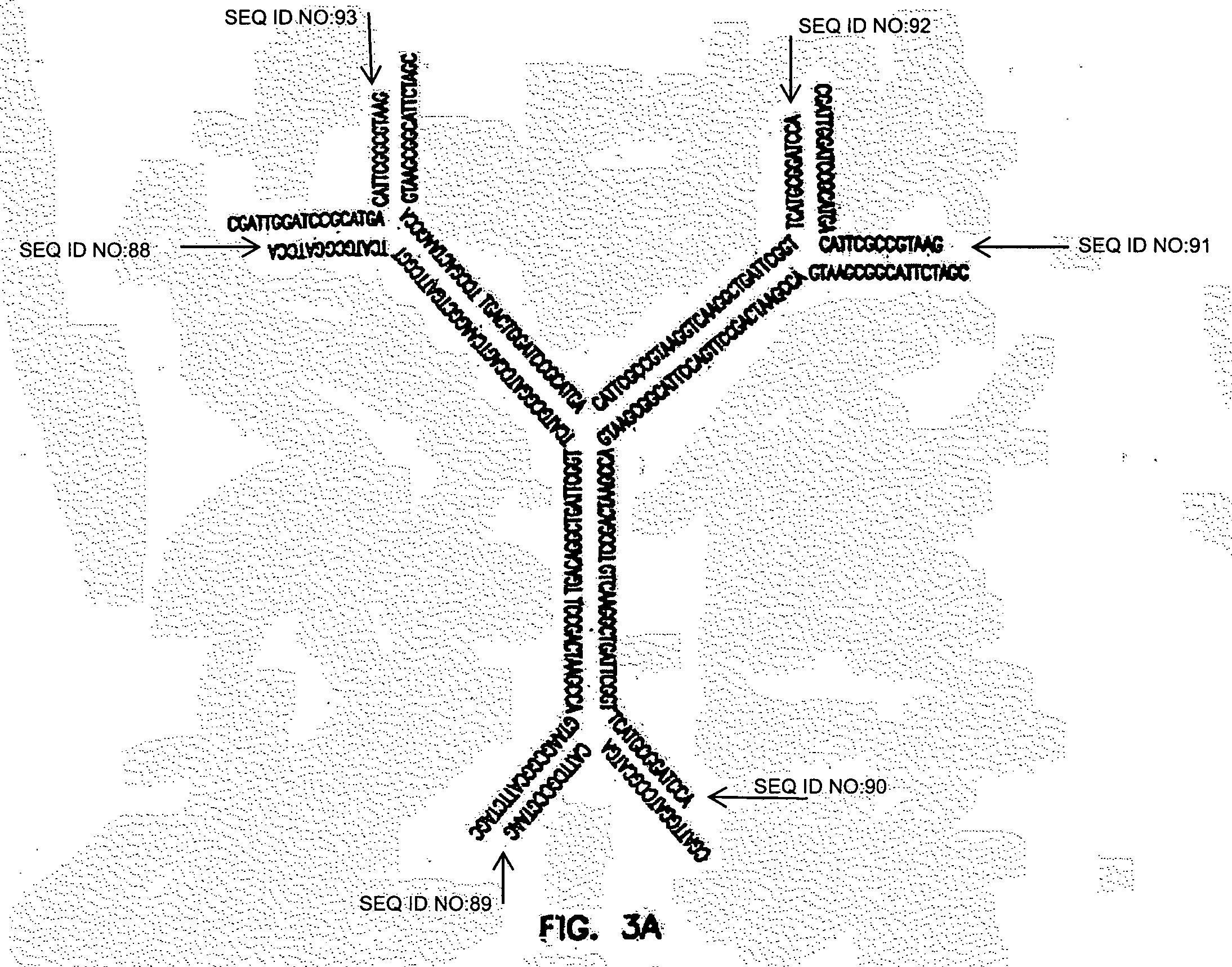 Dendrimer-like modular delivery vector