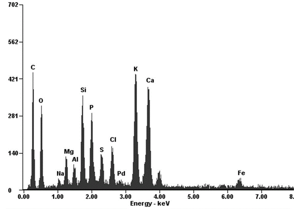 Novel fertilizer and production method thereof