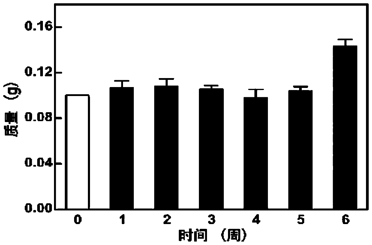 Mineralized keratin biomimetic material and preparation method thereof