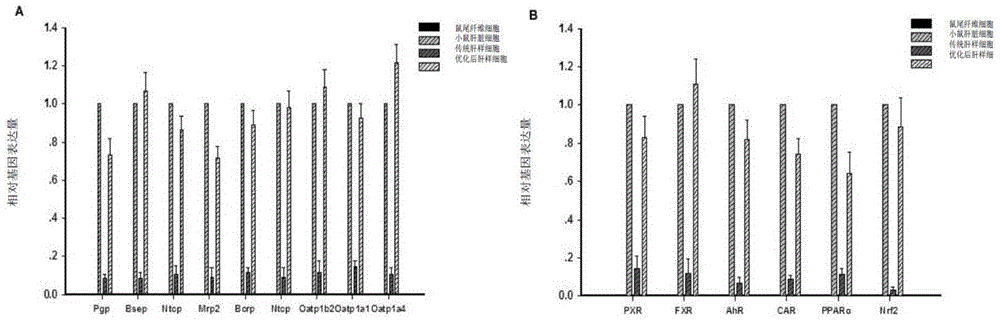 In-vitro hepatocyte-like cell culture method and optimized hepatocyte-like cell cultured by the method