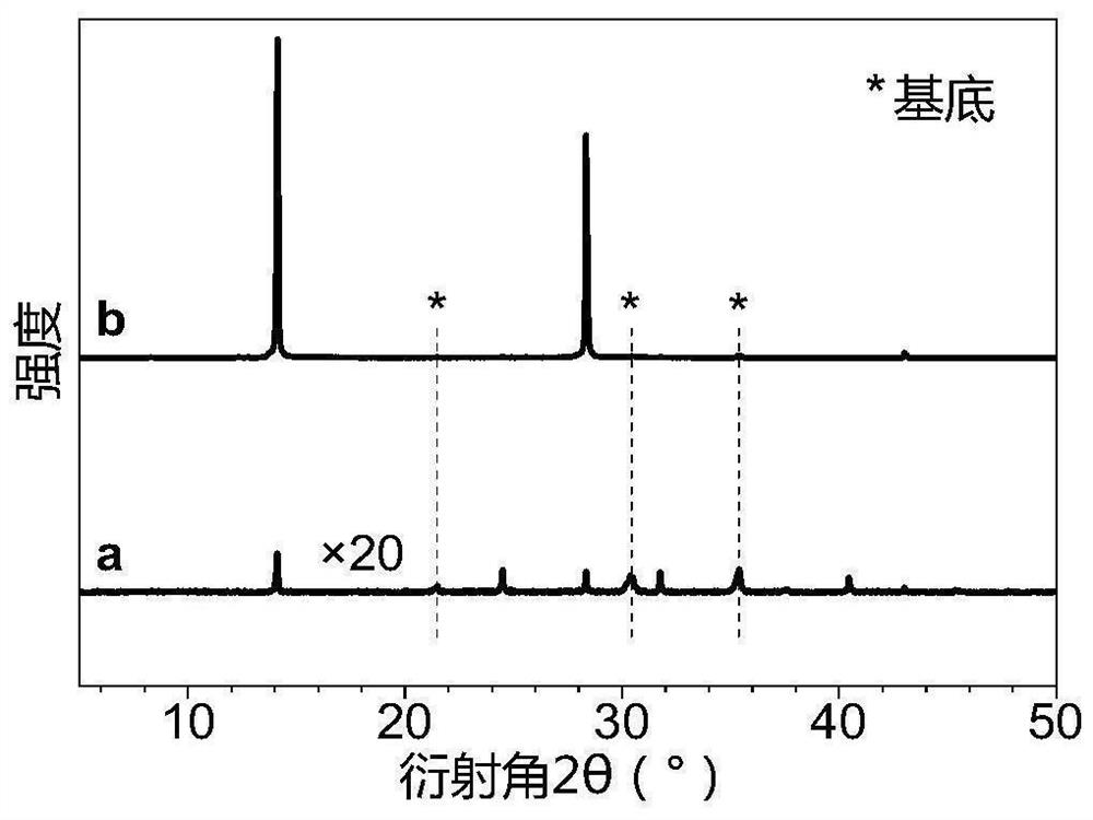 Preparation method and application of improved tin-based perovskite thin film