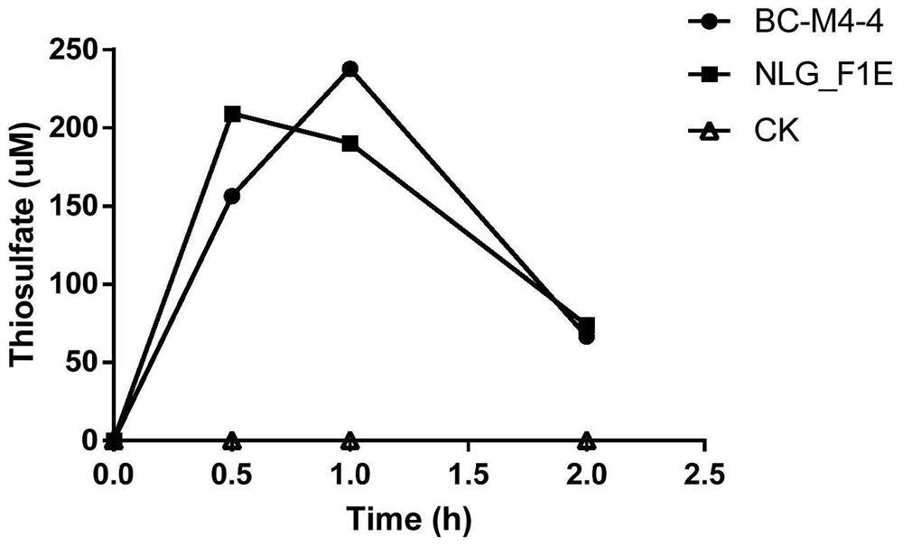 Halomonas with aerobic denitrification and heterotrophic sulfur oxidation functions and application thereof