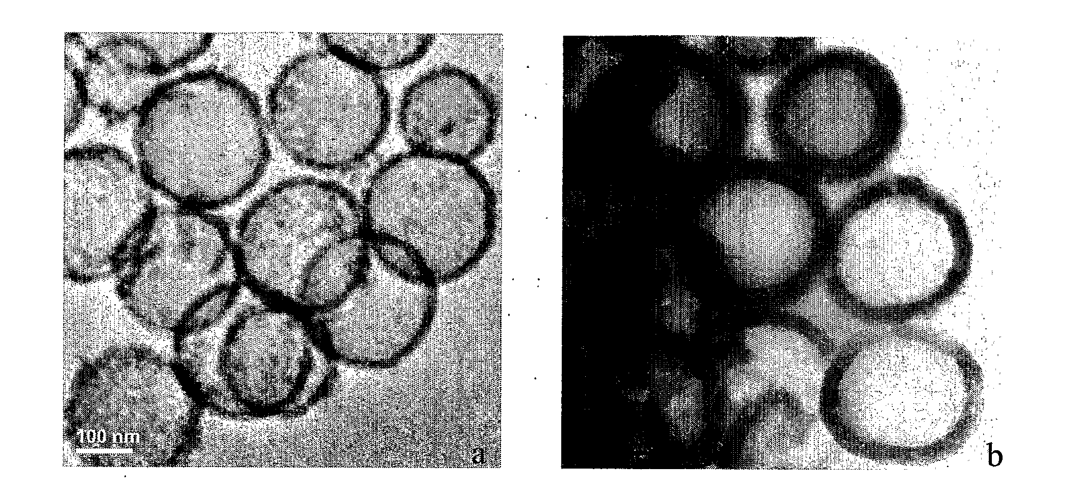 Smart polymers functionalized hollow silica vesicles