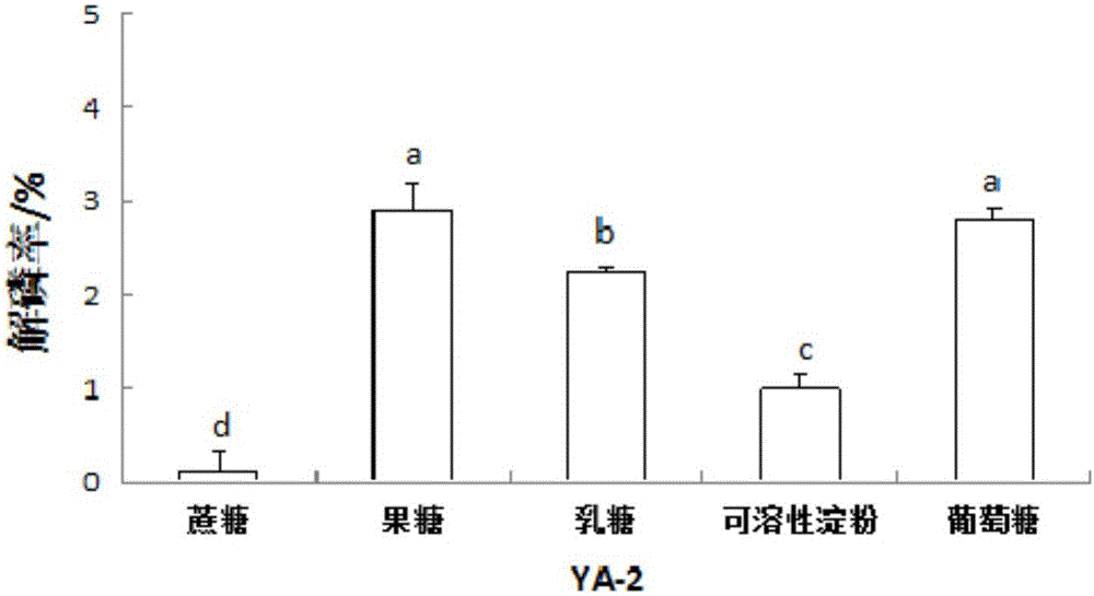 Enterobacter strain capable of dissolving phosphorus and application of enterobacter strain