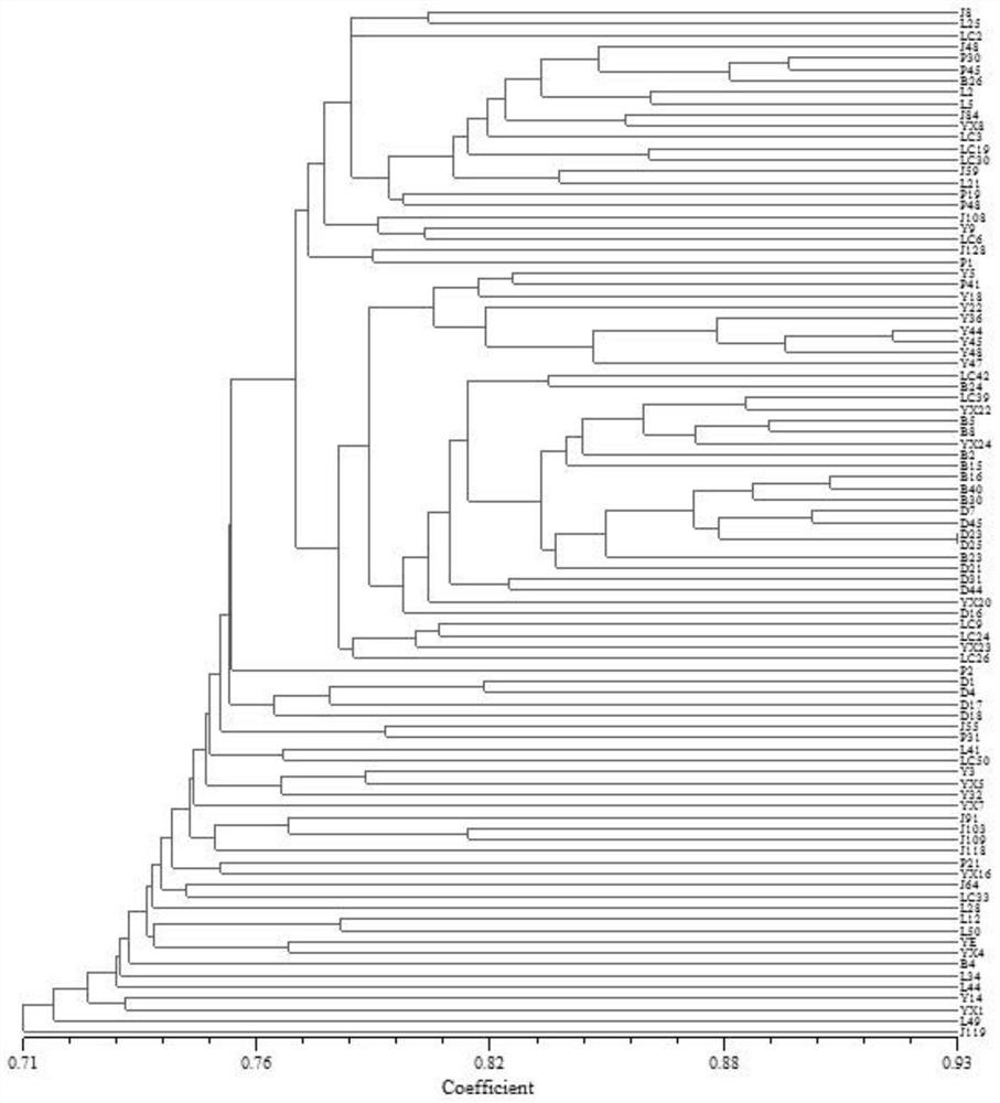 A method of analyzing Tsaoguo genetic diversity using issr reaction system