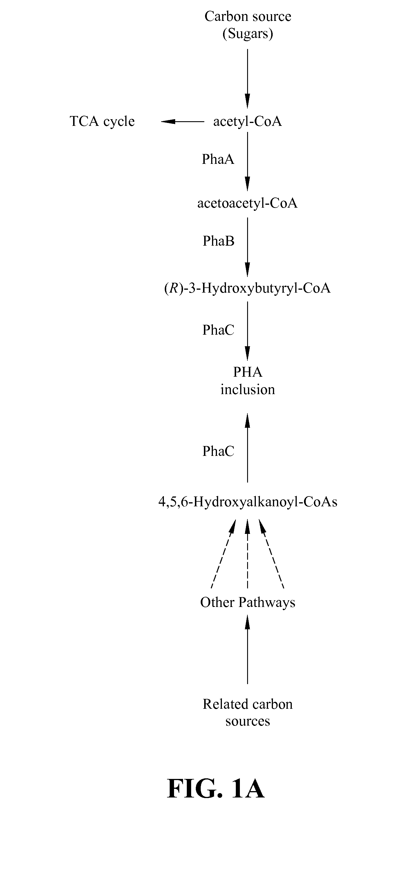 Method for production of high purity polyhydroxyalkanonate (PHAs)