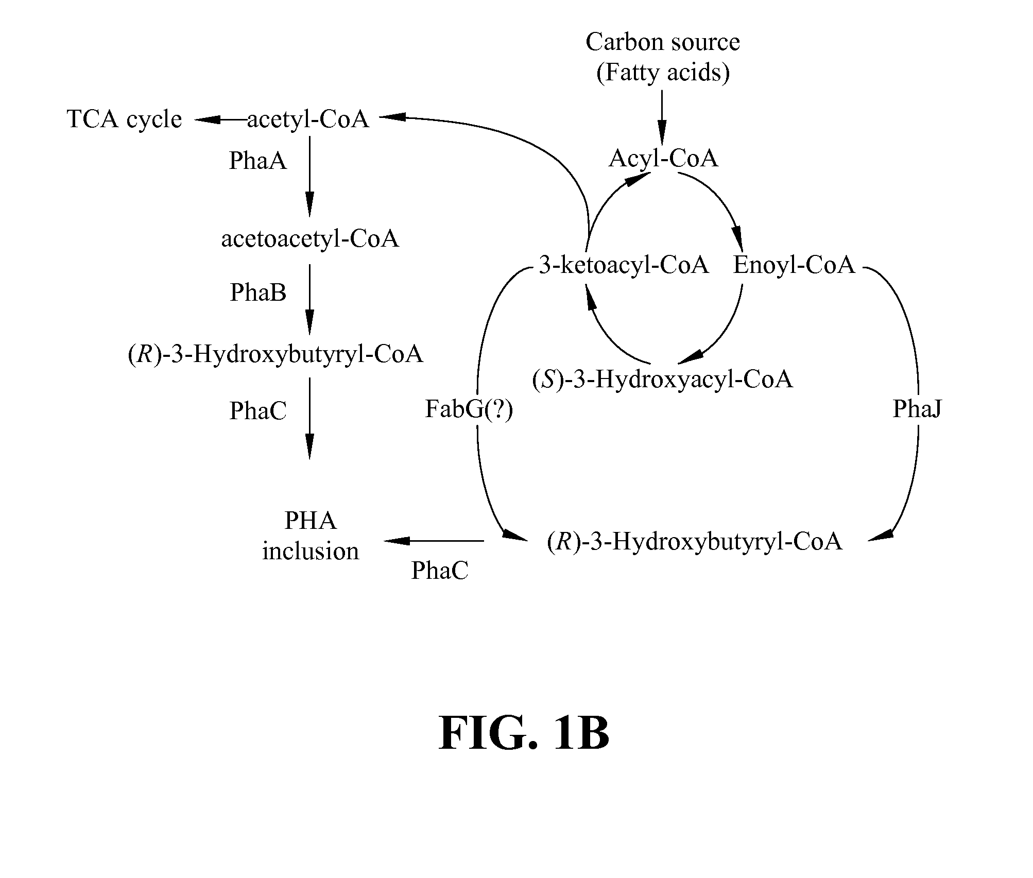 Method for production of high purity polyhydroxyalkanonate (PHAs)