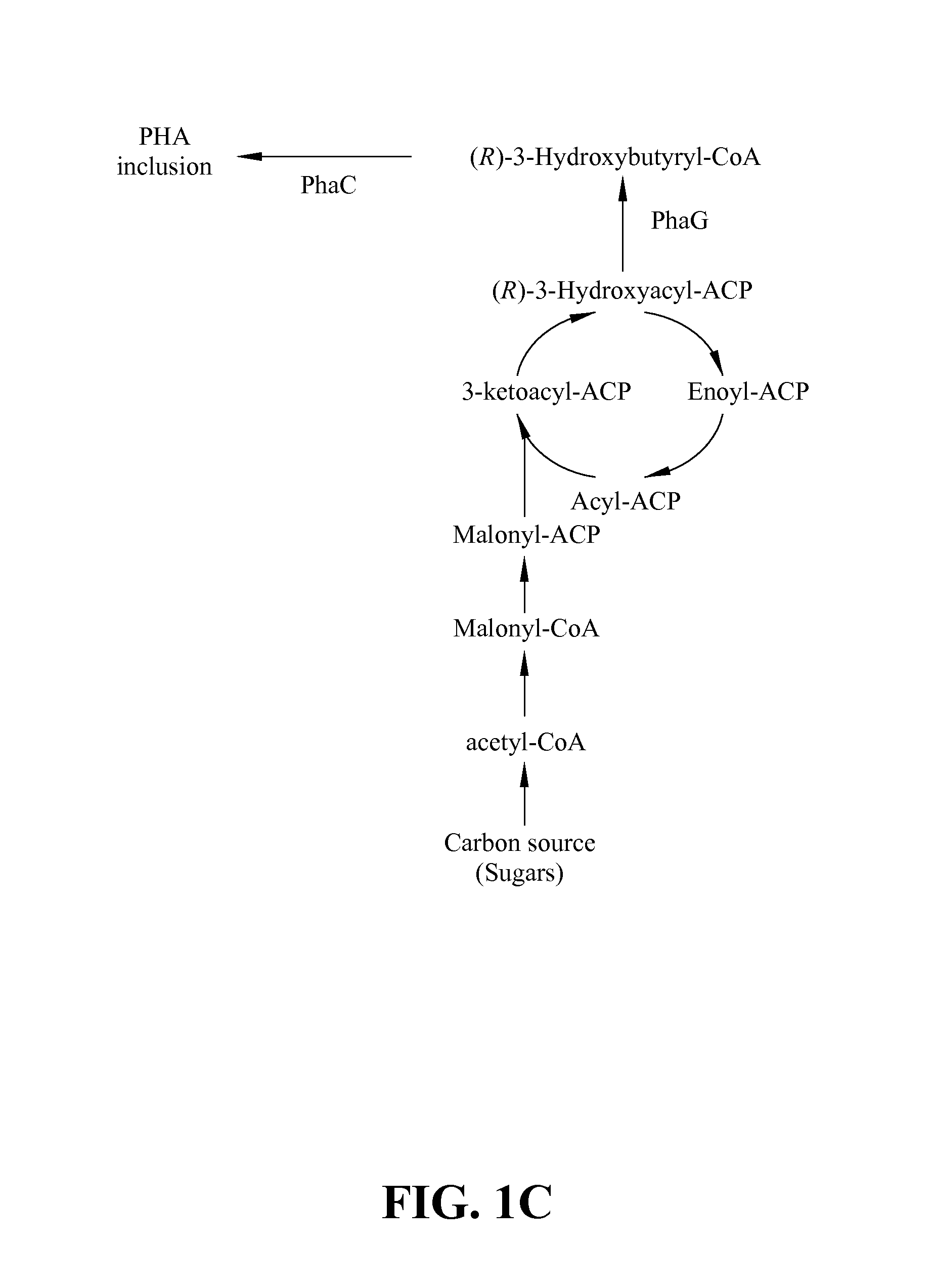 Method for production of high purity polyhydroxyalkanonate (PHAs)