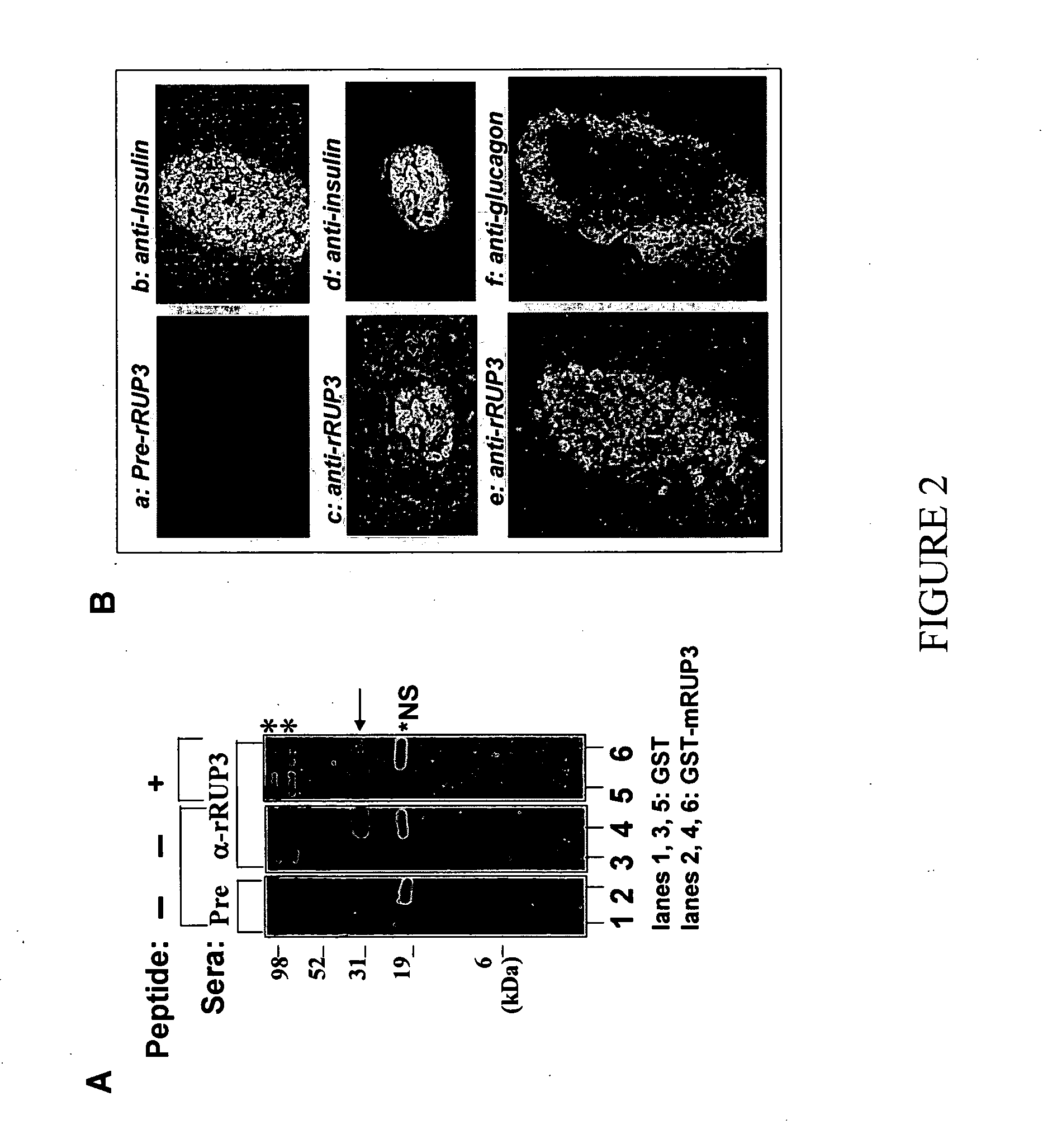 Trisubstituted aryl and heteroaryl derivatives as modulators of metabolism and the phophylaxis and treatment of disorders related thereto