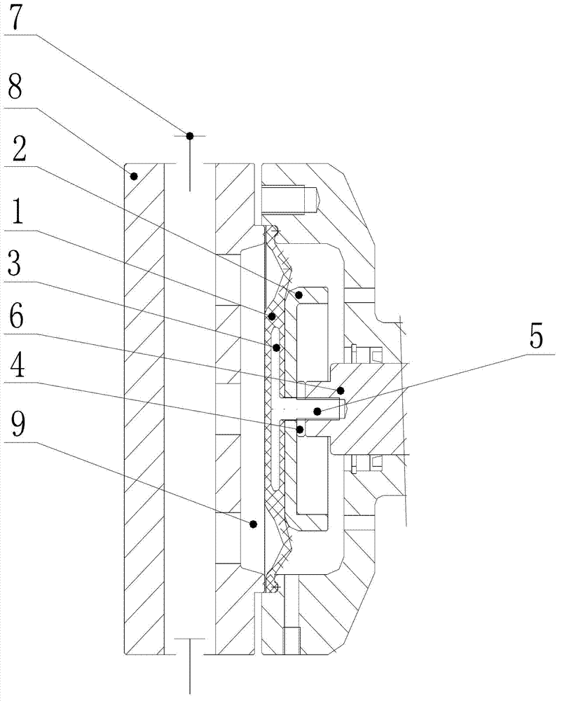 Multi-curved surface diaphragm protective plate