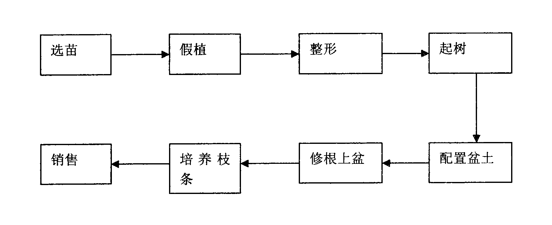 Method for culturing potted Gala apple tree