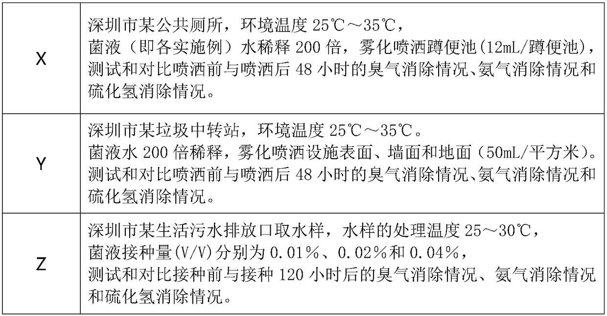 Environmental microbe deodorant and preparation method thereof