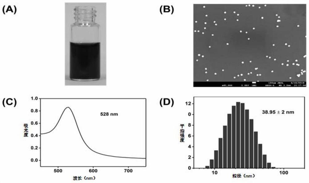 SERS transverse flow test strip for nuclease detection and detection method