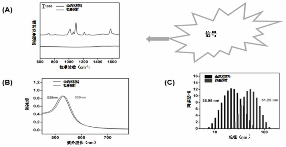 SERS transverse flow test strip for nuclease detection and detection method