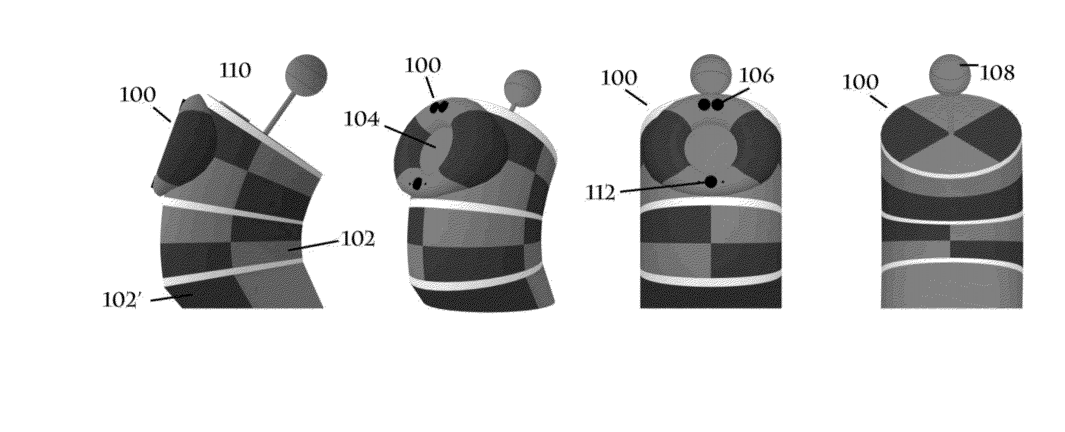 Apparatus and methods for providing a persistent companion device