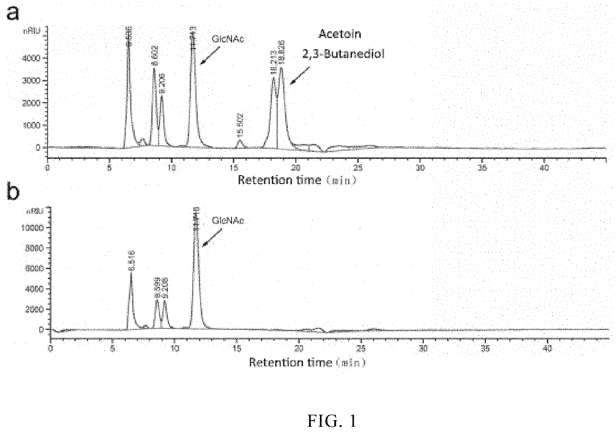 Recombinant strain of bacillus subtilis