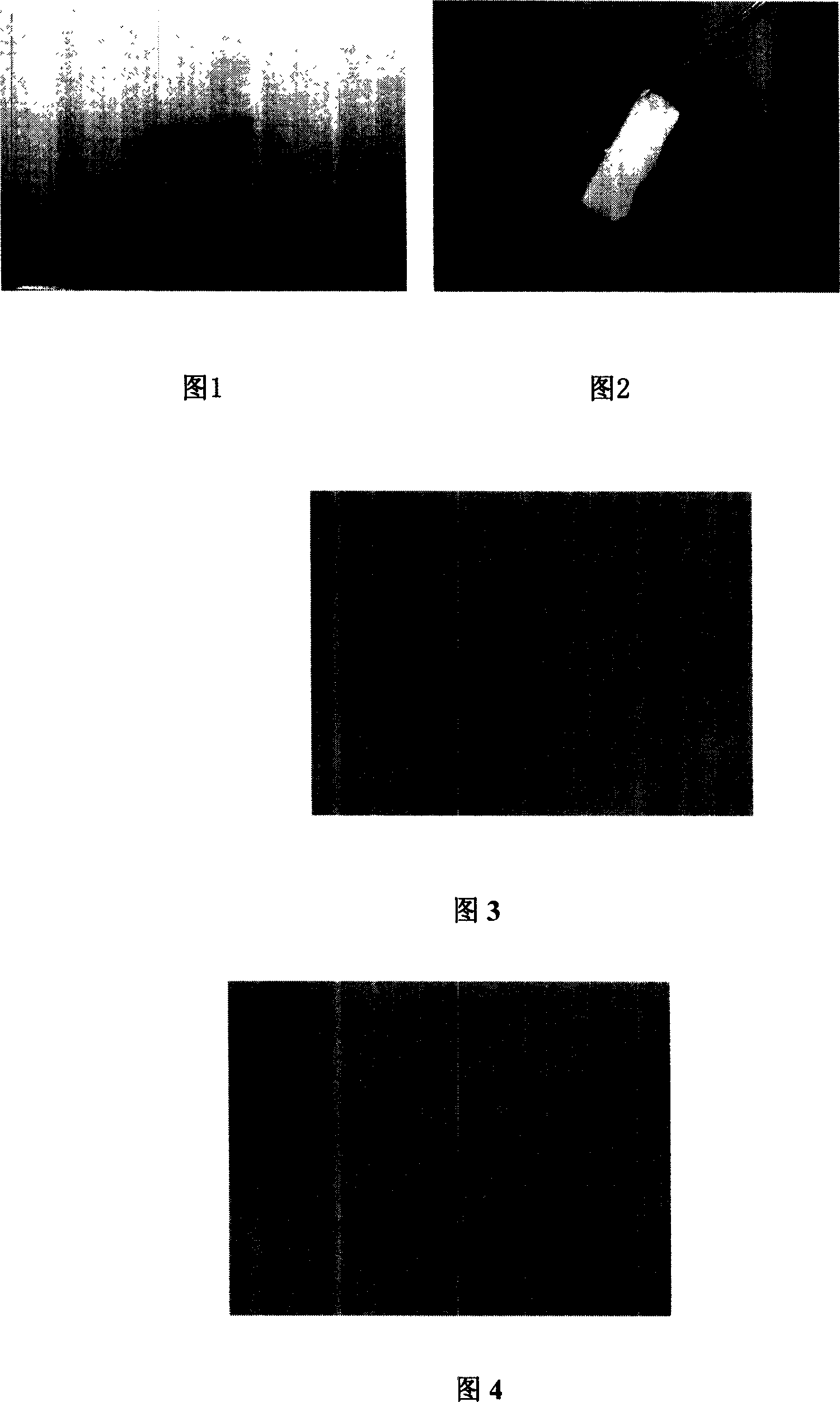 Preparation method of allogenic blood vessel decellularised scaffold