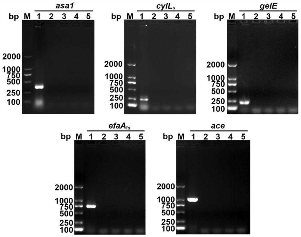 Lactic acid bacteria strains with broad-spectrum inhibition of multidrug-resistant food-borne pathogens and their application