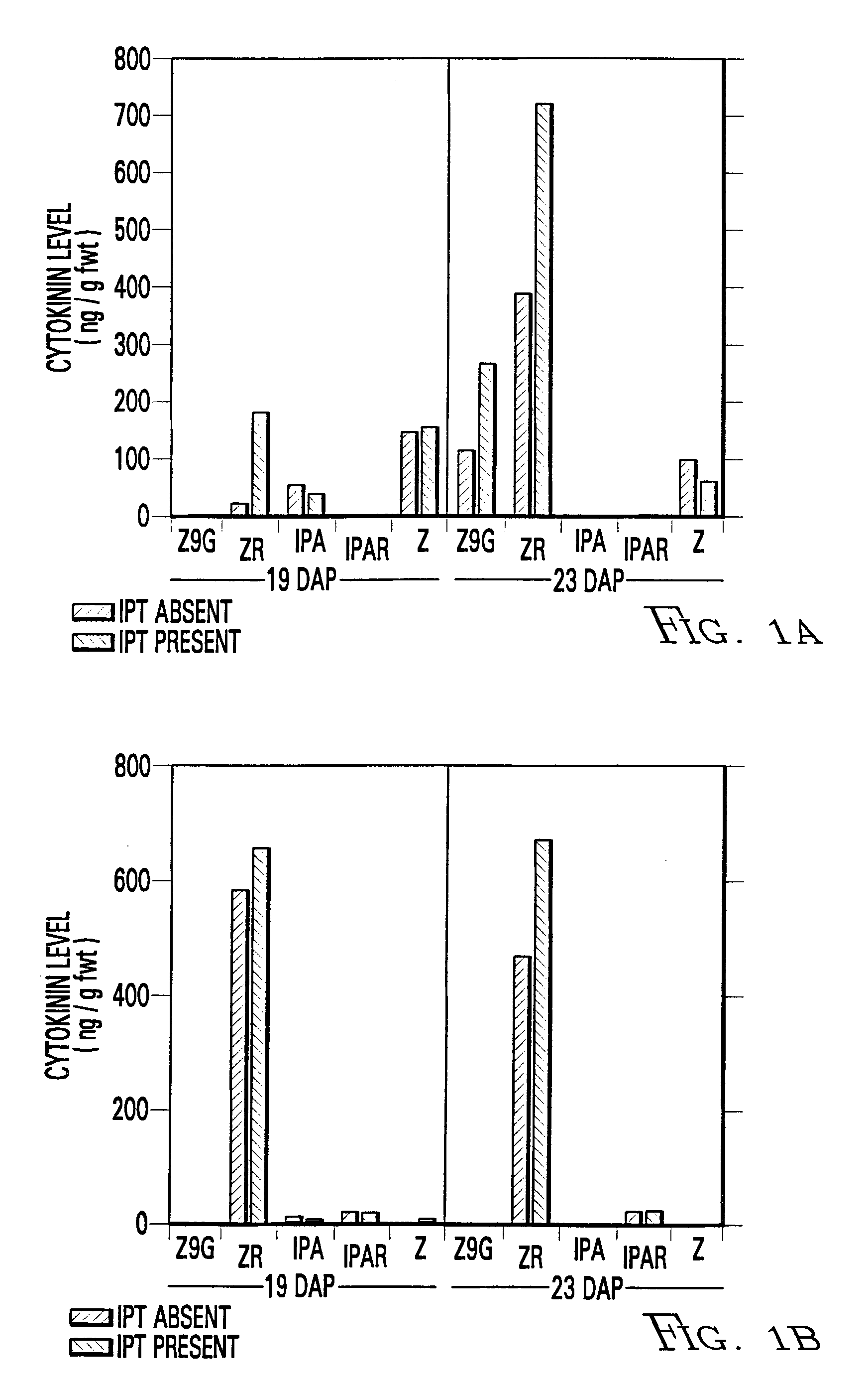 Early Endosperm Promoter eep1