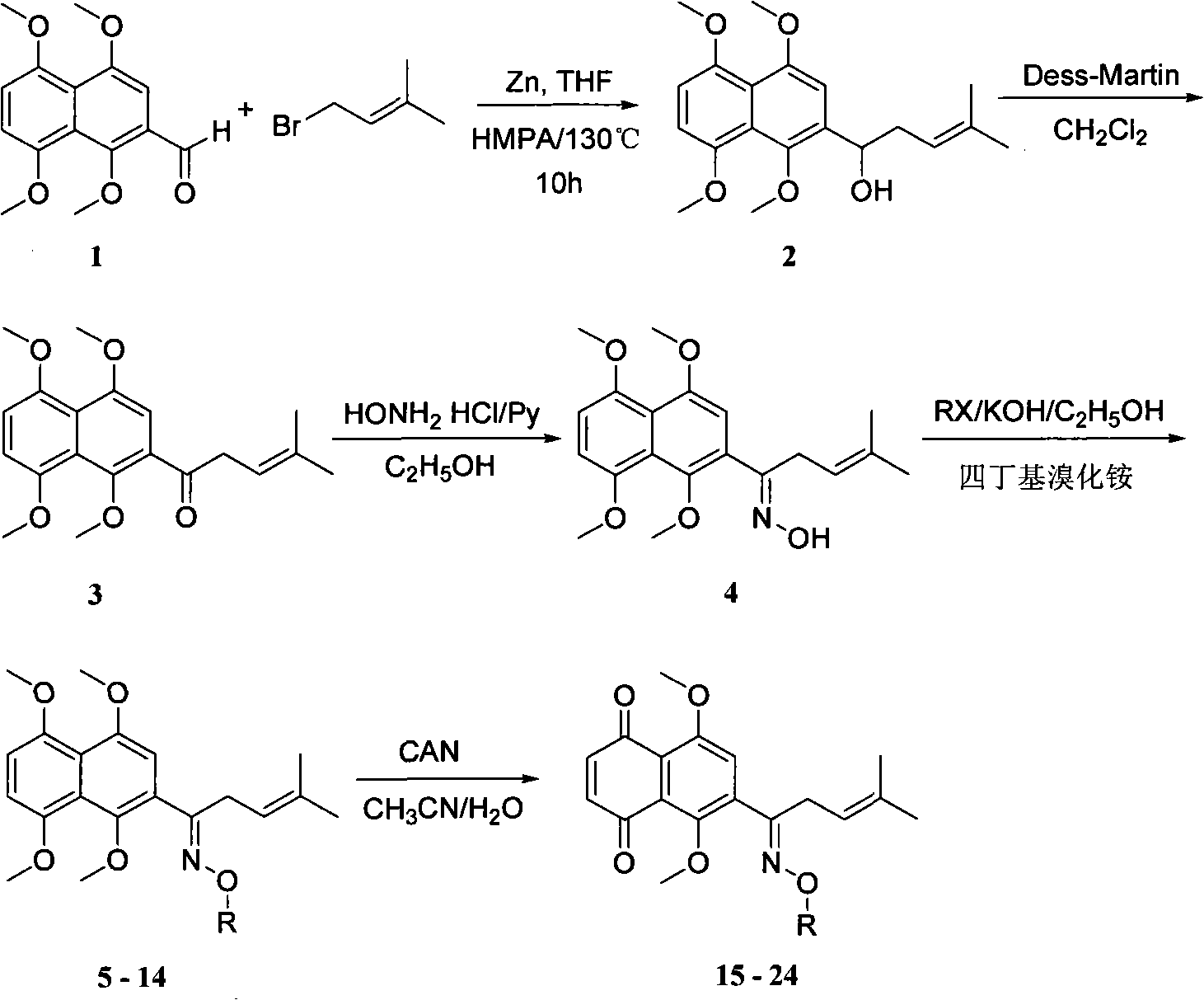 Antineoplastic alkanna tinctoria ketoximes derivatives