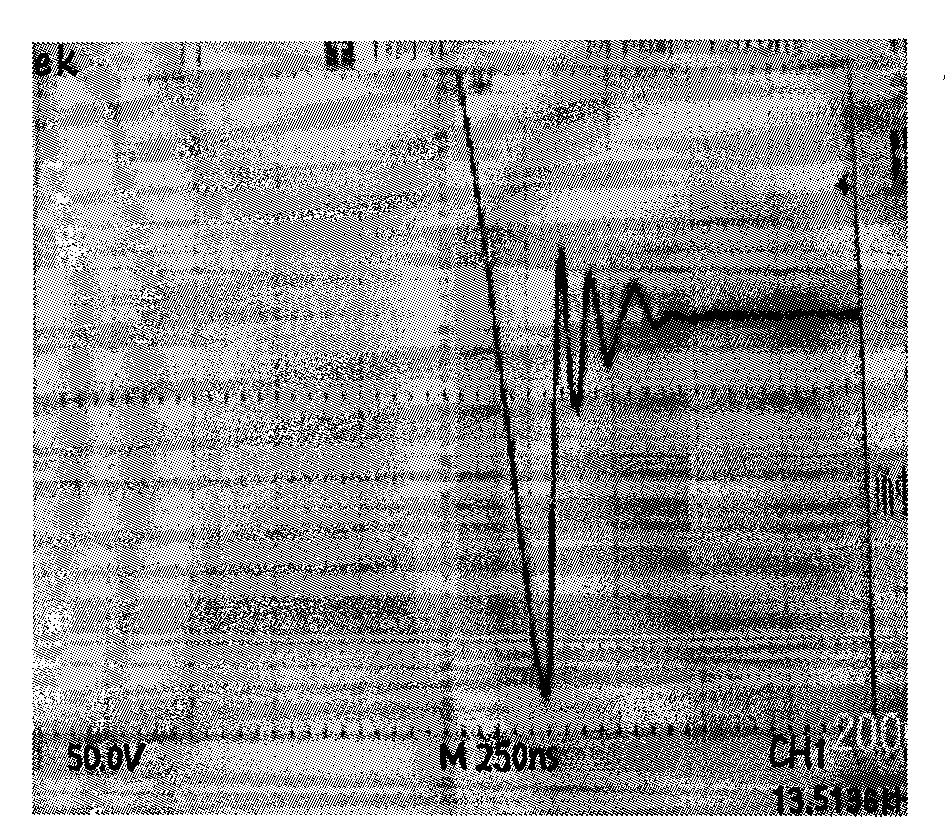 Integrated high-power chopper and high-frequency switch power supply