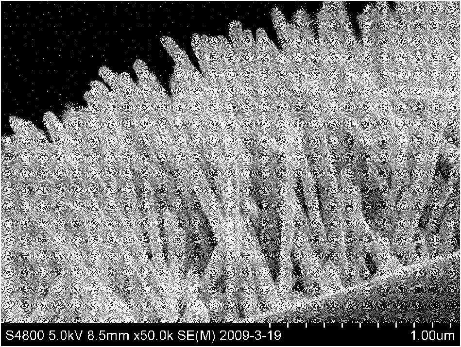 Preparation of ZnO/ ZnS/ Ag nano-rod array in microchannel