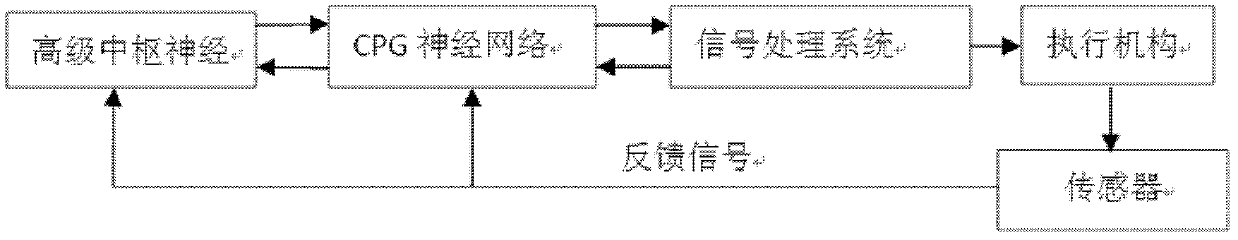 CPG control system of wall-climbing robot imitating flexible structure of feet of gecko