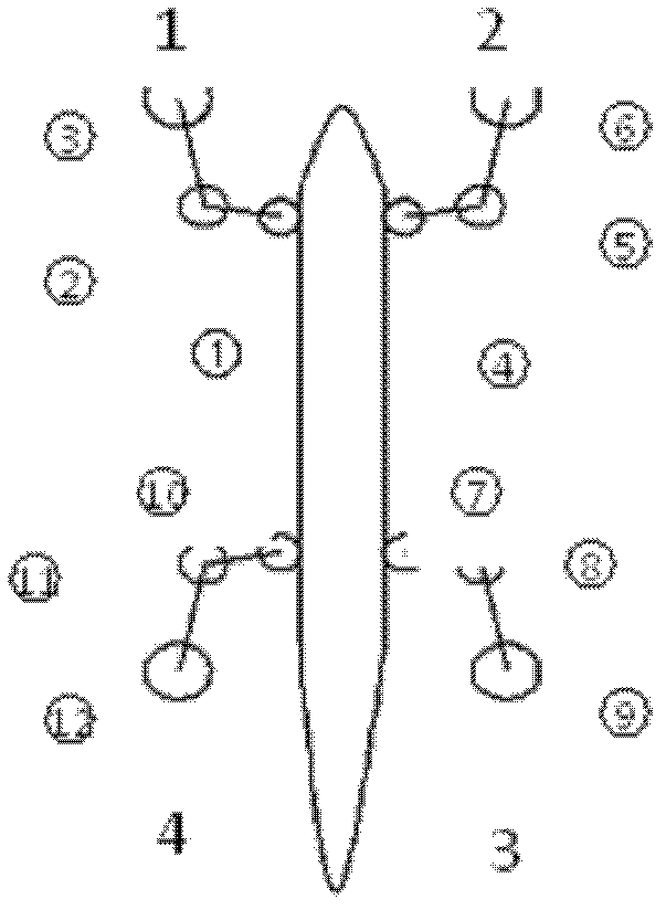 CPG control system of wall-climbing robot imitating flexible structure of feet of gecko