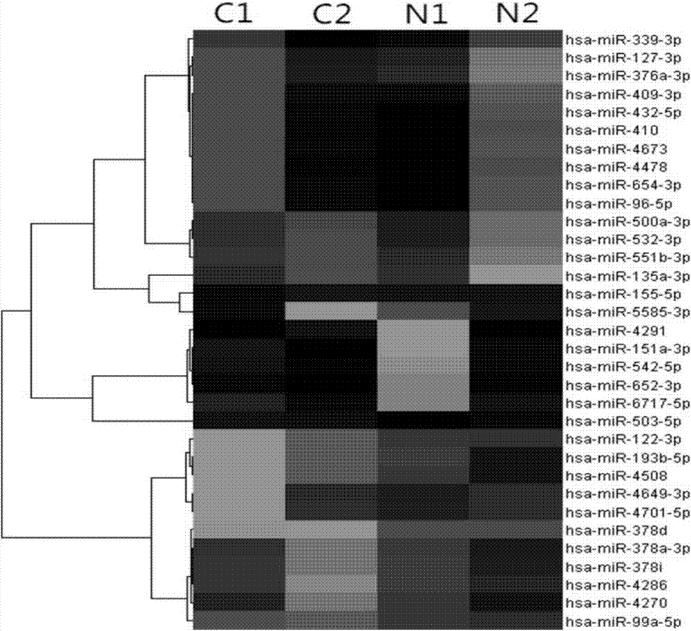 MiRNA marker relevant with colorectal cancer prognosis and application of miRNA marker