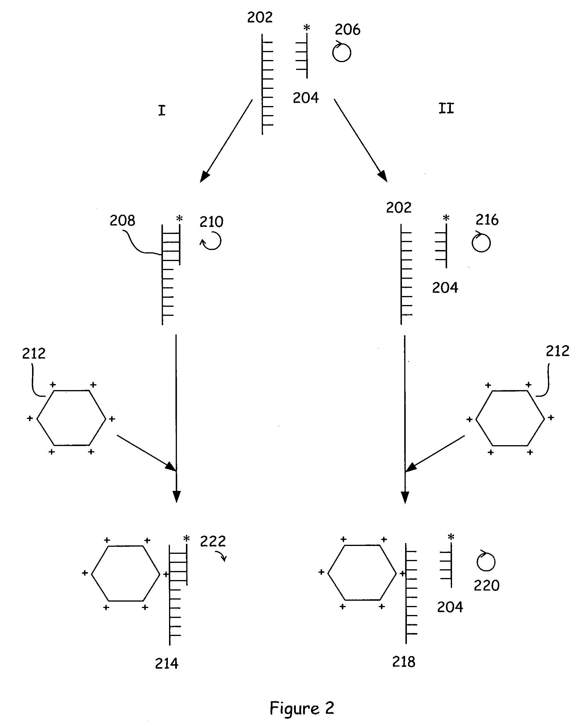 Assay methods and systems