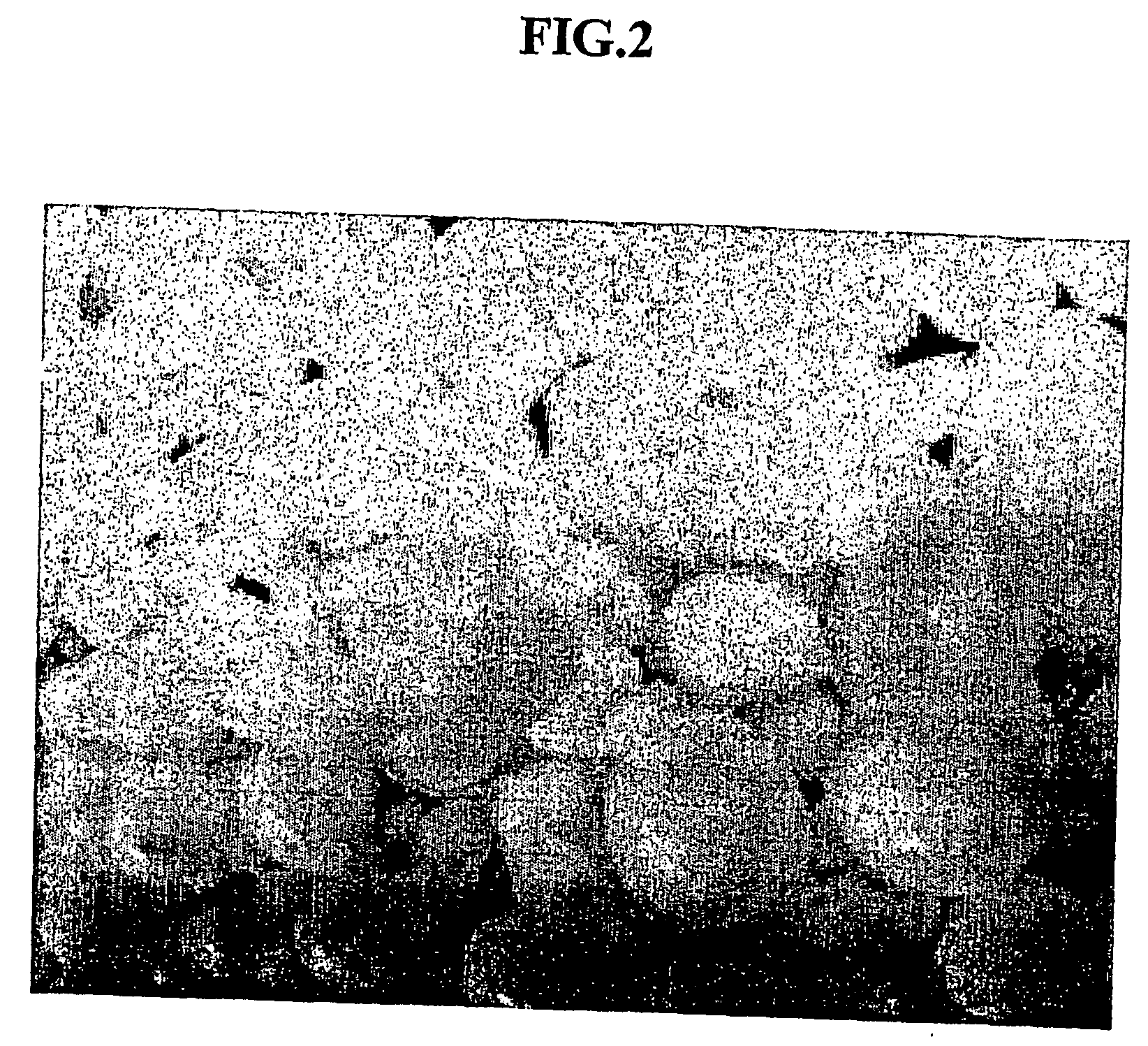 Method for fabricating a porous silica sphere