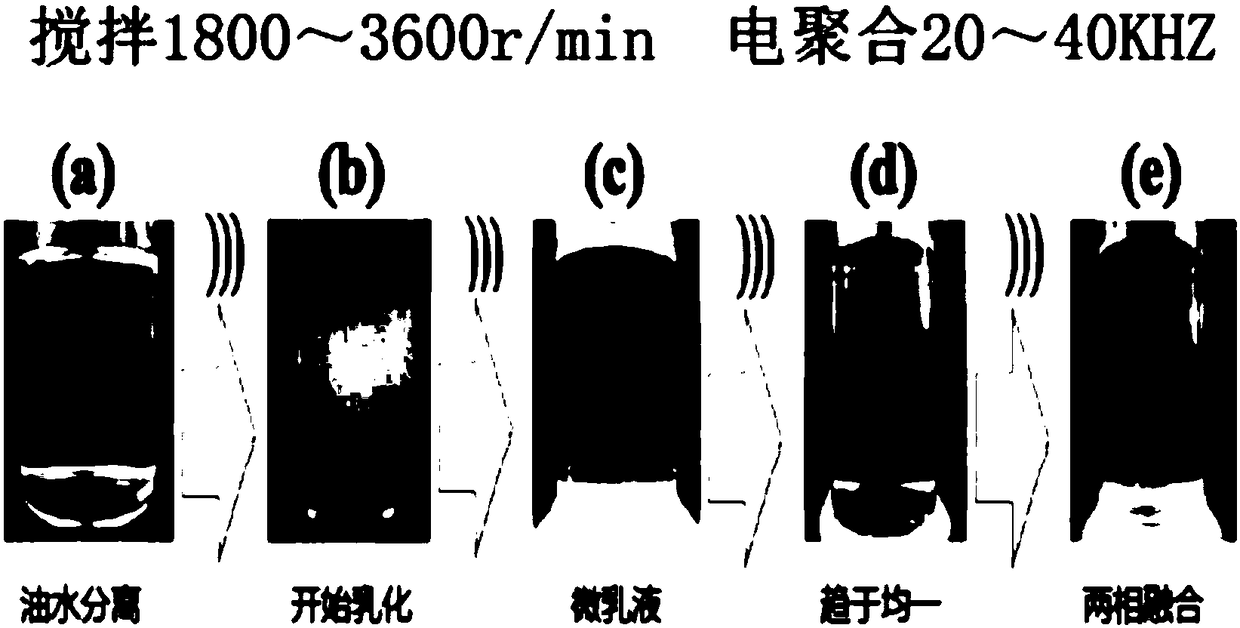 Biological compounding method of vegetable cell activating factor and daily chemical product matrix raw material prepared from vegetable cell activating factor