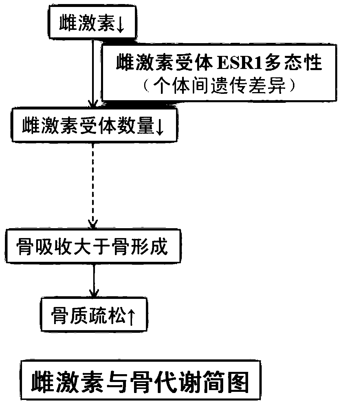 Combined detection method for pregnancy folate metabolism, calcium metabolism and H-type hypertension