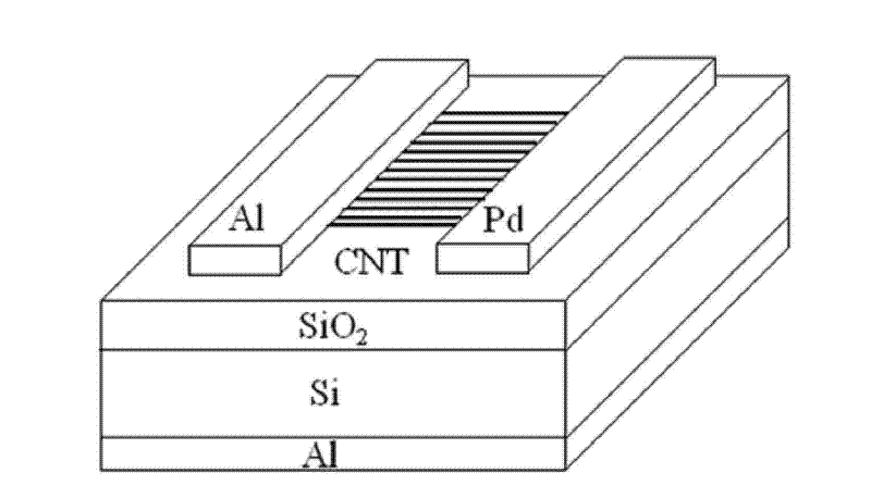 Preparation method of solar micro battery on basis of directional carbon nano tube