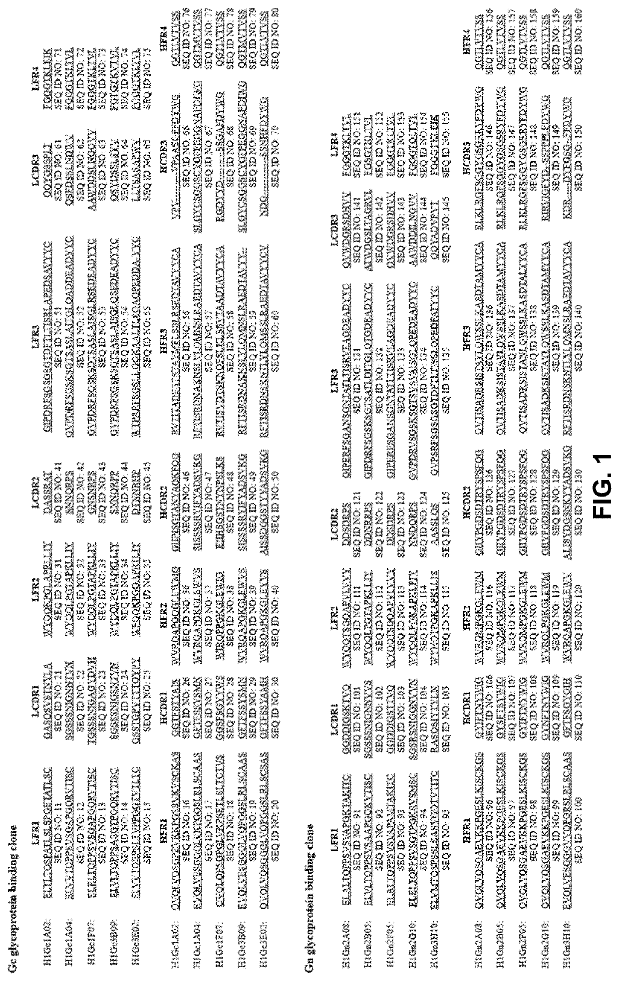 Antibody that binds to envelope glycoprotein of severe fever with thrombocytopenia syndrome virus and use for same